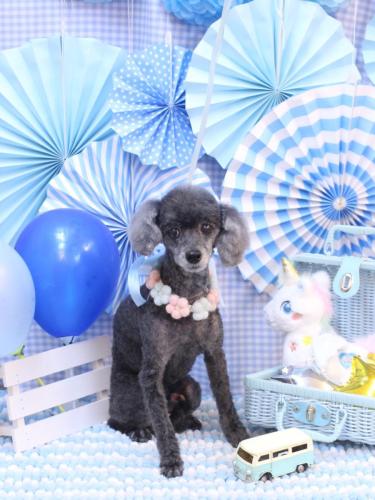 20231125もっぷくん 